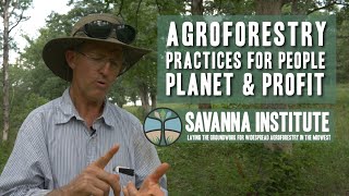 Agroforestry Practices for People Profit and Planet [upl. by Ateuqal]