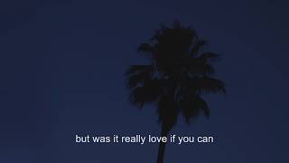 LANY  Thick And Thin lyric video [upl. by Ayiotal772]