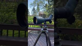 Swarovski 115MM ATX Spotting Scope [upl. by Eenal116]