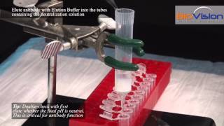 Antibody Purification Video  Biovision Inc [upl. by Atiuqel]