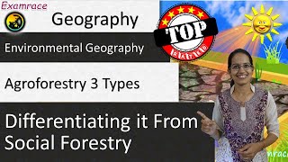 3 Types of Agroforestry Differentiating it from Social Forestry [upl. by Aicilif]