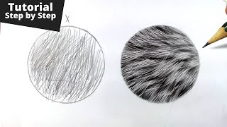 How to Draw Realistic Fur for Beginners [upl. by Attenrad]