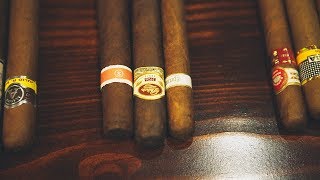 Understanding Cigars [upl. by Ayhtin]