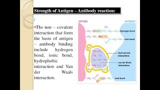 Microbiology of Antibody amp Antigen Interactions [upl. by Doowrehs]