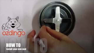 How To Install your Gasket Seal Ring for Nutribullet Magic Bullet amp Nutri Ninja [upl. by Balac]