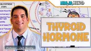 Endocrinology  Synthesis of Thyroid Hormone [upl. by Anela]