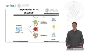 Citocinas caracterísiticas  1018  UPV [upl. by Yvi]