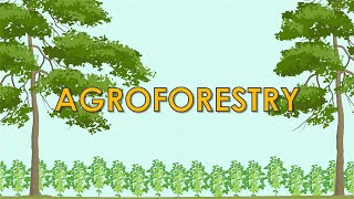 TreesAgroforestry Eng [upl. by Enirok]