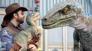 Jurassic World Raptor Experience Universal Studios [upl. by Maillliw]