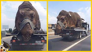 10 Dinossauros Capturados por Câmera na Vida Real [upl. by Lee]