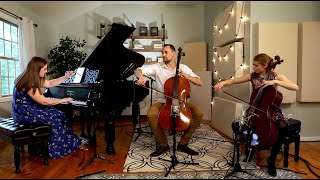 The Flower Duet from Lakmé  2 Cellos amp Piano [upl. by Geno127]