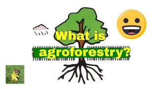 What is Agroforestry [upl. by Dianthe7]