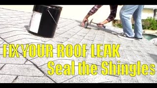 How to Fix Roof Leak by Sealing Area of Asphalt Shingles [upl. by Zia]