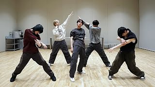 TXT  Tinnitus Dance Practice Mirrored [upl. by Hayden]