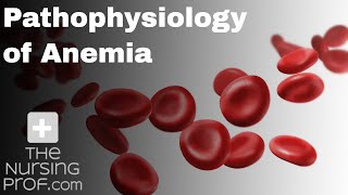 Pathophysiology of Anemia [upl. by Irual]