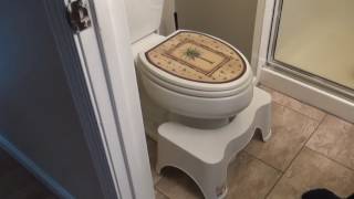 SQUATTY POTTY TOILET STOOL😏 Shark Tank Product Review 🉐 [upl. by Huberto]