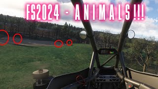 Finding ANIMALS in MSFS2024 [upl. by Dulcea304]