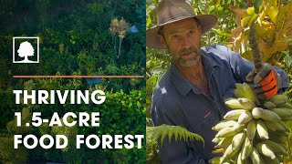 Incredible 15Acre Syntropic Food Forest with Over 250 Plant Species  The Food Forest Farmers [upl. by Neehs]