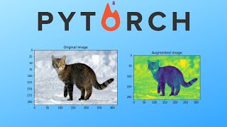 Pytorch Data Augmentation using Torchvision [upl. by Annirtak474]