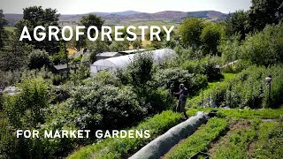 A FOREST GARDEN FARM Agroforestry for market gardens forest gardens amp alley cropping [upl. by Semyaj]