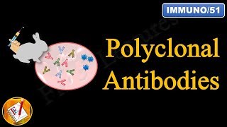 Polyclonal Antibodies FLImmuno51 [upl. by Vevine]