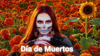 Así es DÍA de MUERTOS en MÉXICO  Documental Así se quotVIVEquot la muerte [upl. by Mischa]