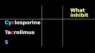 Immunosuppressive pharmacology Cyclosporine Tacrolimus Sirolimus mTOR FK IL2 [upl. by Odessa]