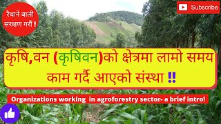 नेपालमा कृषि वन प्रणालिमा काम यसरी गरिदै Working with impact on Agroforestry in Nepal Agroforestry [upl. by Adnarram348]