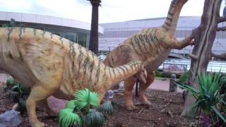 Plateosaurus DinosaursDino Park PrahaMad Dinosaur Sounds [upl. by Noel]