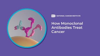 How Monoclonal Antibodies Treat Cancer [upl. by Mason]