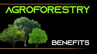 INFORMATION 25  AGROFORESTRY AND ITS BENEFITS [upl. by Sausa516]