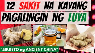 LUYA  mga SAKIT na kayang pagalingin at BENEPISYO sa KATAWAN GAMOT BENEFITS ng GINGER  SALABAT [upl. by Palermo]