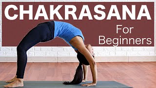 Chakrasana for Beginners  Urdhva Dhanurasana  Wheel pose l Preperation  Yogbela [upl. by Baum]