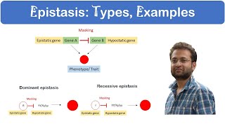 What is Epistasis Dominant vs Recessive Examples [upl. by Renckens]