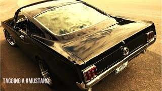 1965 Ford Mustang GT 289  Tagging a Classic Fastback [upl. by Egedan]