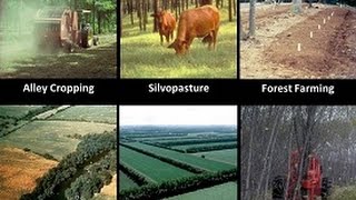 Introduction to Agroforestry Systems [upl. by Wilhelmina]