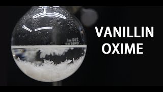 Making Vanillin Oxime Capsaicin precursor [upl. by Ferretti817]