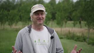 Agroforestry in the UK [upl. by Leunad]