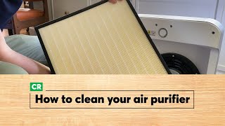 How to Clean an Air Purifier  Consumer Reports [upl. by Balfour]