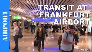 TRANSIT WALK AT FRANKFURT Airport FRA Terminal 1  Connection Flight Transfer Arriving amp Departing [upl. by Ecnaled989]