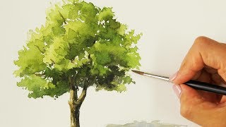 Easy Watercolor Painting  Tree [upl. by Nylyram]